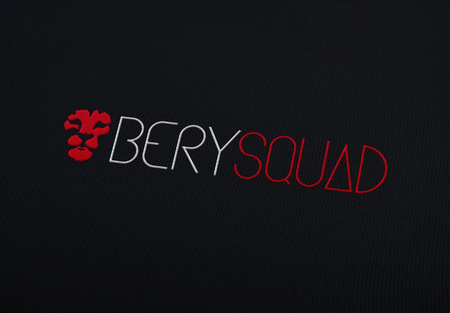 logo horizontal sur textile Berysquad